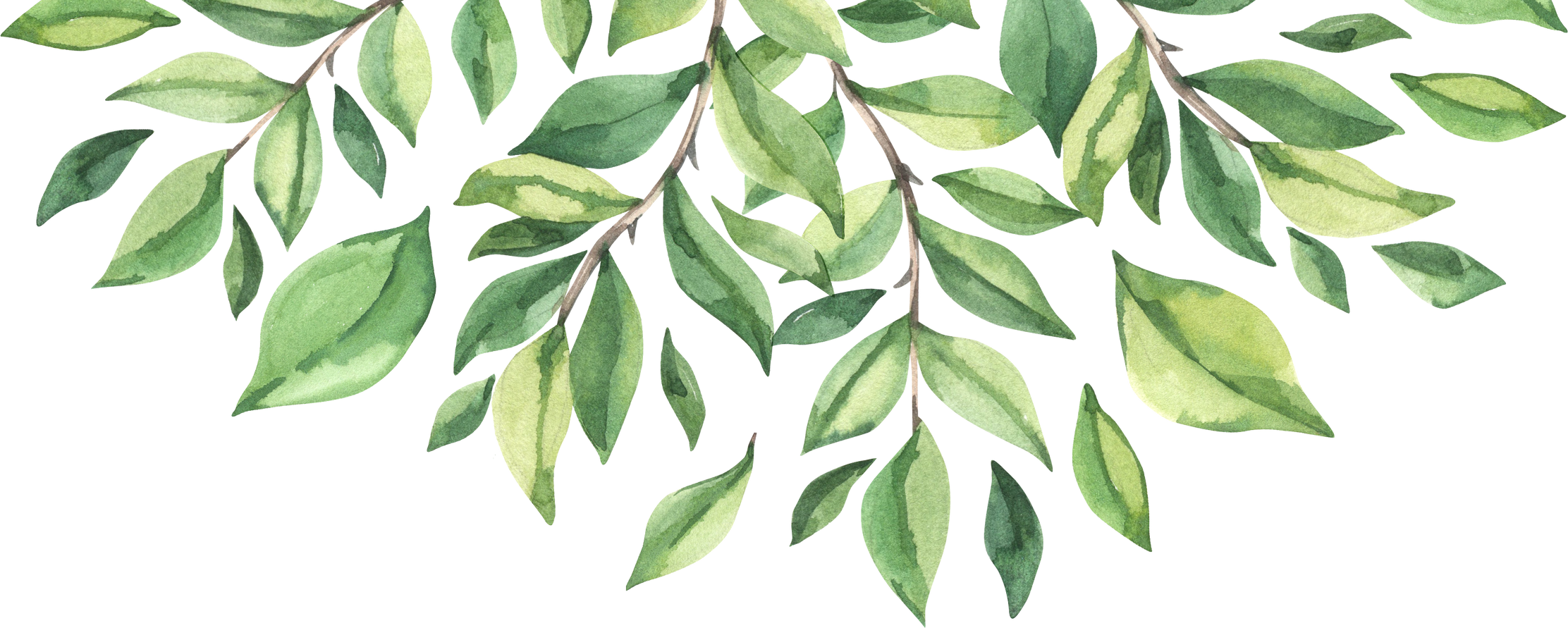 Watercolour Frame with Green Leaves