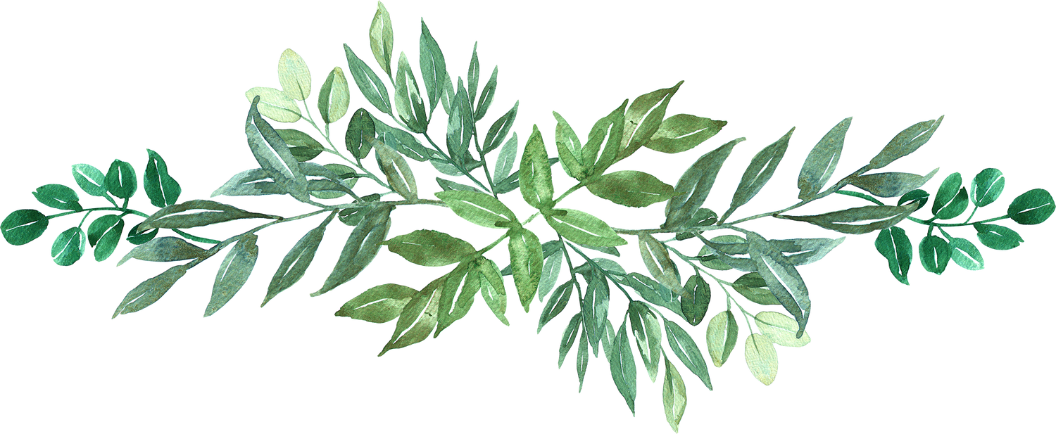 Green Leaves Arrangement Bouquet Watercolor Illustration